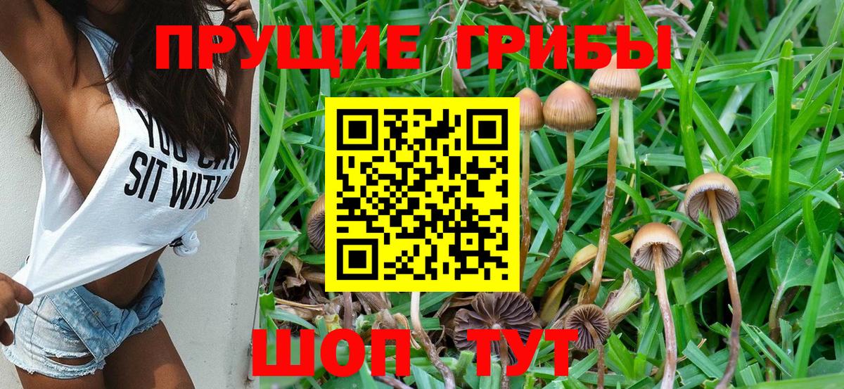 Галлюциногенные грибы Magic Shrooms Тобольск